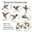 Bird Friendly Window Decals Static Electricity-CBCJD208 5