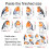 Bird Friendly Window Decals Static Electricity-CBCJD208 4