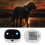 Μίνι GPS Tracker για κατοικίδια και παιδιά, ελαφριά συσκευή παρακολούθησης σε 6