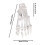 Clear Human Foot Joint Skeleton Model Anatomy Left Foot and 3