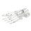 Clear Human Foot Joint Skeleton Model Anatomy Left Foot and 7