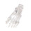 Clear Human Foot Joint Skeleton Model Anatomy Left Foot and 6