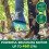 Cordless Leaf Blower 460CFM 120MPH Brushless Motor with Variable Speed for Garden Cleaning 2