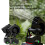 Battery Powered Blower Fan Powerful Cordless Blower Powered by 6