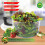 Large 5 Quart Salad Spinner with Serving Bowl, Manual Vegetable Spinner, Locking Lid and NonSlip Base 2
