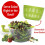 Large 5 Quart Salad Spinner with Serving Bowl, Manual Vegetable Spinner, Locking Lid and NonSlip Base 5