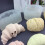 Silicone Baking Mould For Various Craft Including Candle-6 5