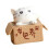 Cartoon-Arme-Box-Katze-Modell, kleine Statue, 3