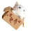 Cartoon-Arme-Box-Katze-Modell, kleine Statue, 6