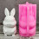 Hare Figurine Silicone Molds for Epoxy Resin Candle Soap 7