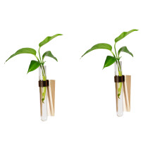 2Pcs Vertical Garden Hanging Propagation Vases for Plant-brown