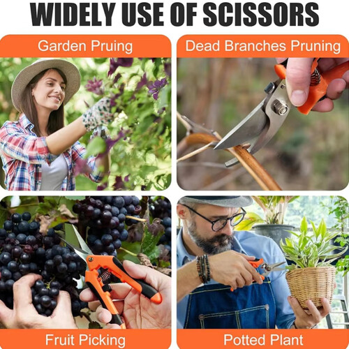 Ensemble de 3 ciseaux de jardinage en acier inoxydable avec lames courbes 1