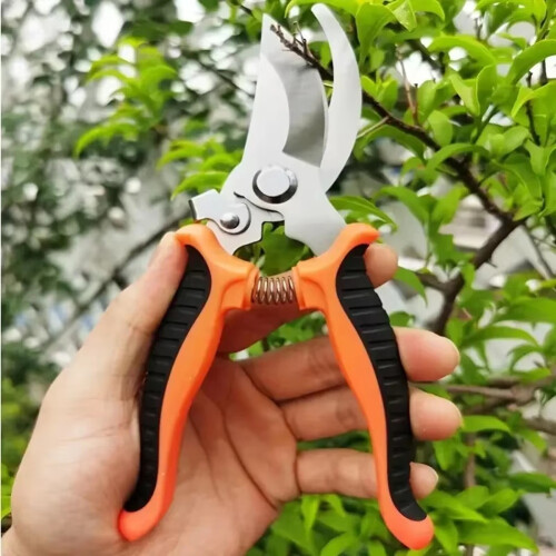 Ensemble de 3 ciseaux de jardinage en acier inoxydable avec lames courbes 2