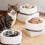 Distributeur d'eau pour animaux de compagnie, chauffe-plat,-Gris 3