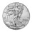 2024 1 Oz American Silver Eagle Münze .999 Fein US 2