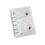 Metallic Star Accent Clear Binder Cover Double Clasps Closure-2 1