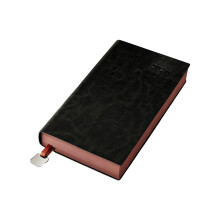 2026 Year Productivity Journal Daily Planner Notebook-A6 black