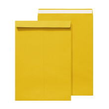 50 stuks afdichtingsenveloppen 12,7 x 9 inch kleurrijke-Gouden