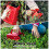 Handle Blueberry Shovel Blueberry Picker Fruit Picker Blueberry Garden Tools Picking Tools 3
