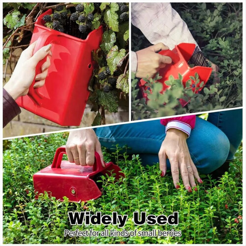 Handle Blueberry Shovel Blueberry Picker Fruit Picker Blueberry Garden Tools Picking Tools 2