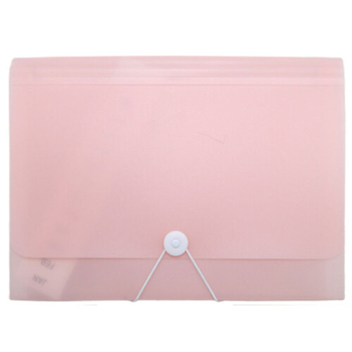 Multi Layer Plastic File Case Portable Hand Carry Document-Pink