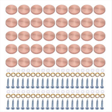 Conjunto de 40 Parafusos de Vidro com Tampas de Aço Inoxidável para Parafusos, Fixadores Decorativos para Móveis e Decoração, Cor Ouro Rosa