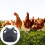 MultiPurpose Bird Guard Set Reduces Wetness Cold-Black Orange 3