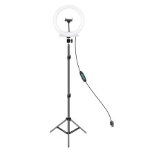 LED Floor Lamp with Adjustable Light and Color, 360 Rotation, Foldable Soft Light Design for Studio
