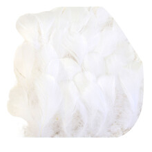 100Pieces Assorted Size Craft Feathered Accessories Ideal-White