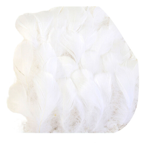 100Pieces Assorted Size Craft Feathered Accessories Ideal-White