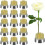 48 peças de suportes para arranjos florais Kenzans, com pinos redondos, para vasos e arranjos de flores (0,9 polegadas). 2
