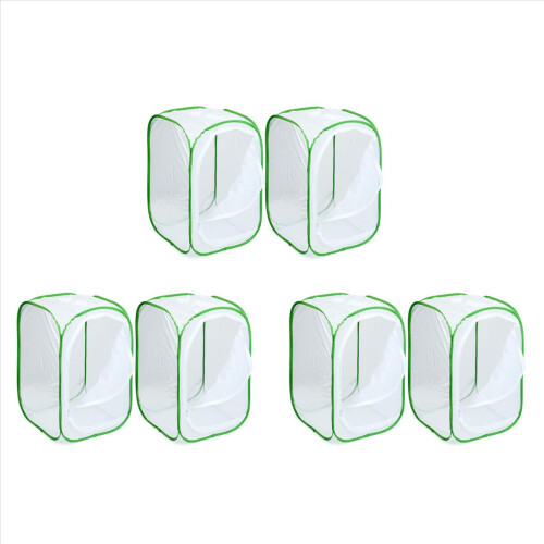 Conjunto de 6 terrários para insetos e borboletas - Recinto para borboletas (15,7 x 15,7 x 23,6 polegadas)