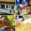 100 PCS Queen Bee Roller Cage - Plastic Beekeeping Queen Cup Kit Queen Bee Roller Cage Back Cup Holder Beekeeping Tools 6