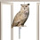 2x Acryl-Vogelabwehrgerät, Eulen-Imitat, reflektierend, für Garten, Balkon, Terrasse oder Balkon 6