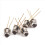 30 X 3 DU 5 C Metaal Silicium Fototransistor Transistor 5