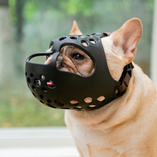 Adjustable Dog Muzzle Mouth Guard for Medium Large Breeds-M 1