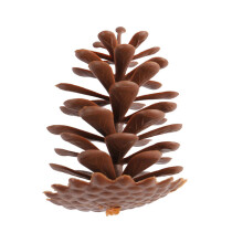 100 stuks traditionele dennenappel kersthuisornament-6 cm grenen