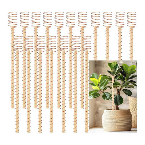 Conjunto de 36 estacas de cobre para cultivo elétrico, ideais para plantas de jardim. 30 cm (12 polegadas) de diâmetro. 1