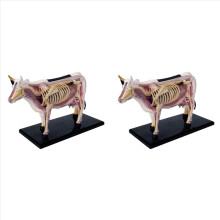 2X Modelo de Anatomia de Órgãos de Animais 4D - Brinquedo Educativo de Montagem de Anatomia de Vaca - Modelo de Animal Montado
