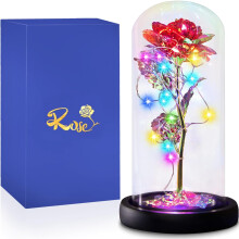 Preserved Rose in Glass Dome with LED Light Eternal Red Flower Gift for Her Anniversary Birthday