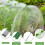 Fiberglas-Gartenrahmen für Gartennetze,-30PCS 7