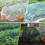 Fiberglas-Gartenrahmen für Gartennetze,-30PCS 5