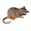 Realistische Tiermodellfiguren, Simulation, 3