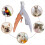 Pet Nail Clippers with LED Lights Cat and Dog Tools Scissors 3