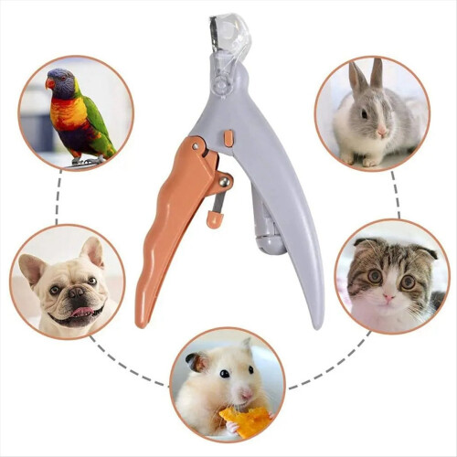 Pet Nail Clippers with LED Lights Cat and Dog Tools Scissors 2