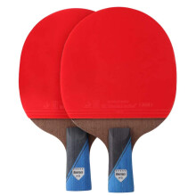 Lerten Table Tennis Bat, Professional Carbon Table Tennis Paddle with Storage Bag, Suitable for Family Activities and Sports Clubs / 5 Star/A