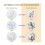 4Pack Embroidery Kits for Adults Kit Beginners Hand with Patterns(Birdie) 3