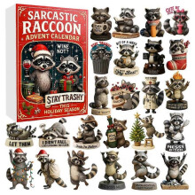 Sarcastic Raccoon 24 Days Christmas Countdown Calendar with 24 2D Flat Raccoon Ornaments Christmas Advent Calendar