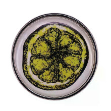 (B-75-1-2) Rock Band Metal Pin Creativity Music Decorate Badges Collecting Send Friend Fans Boutique Medal Gift Brooch