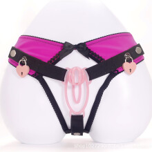 Penis Cage HeartShaped Lock Pink M Chastity Belt Panties Male Penis Exercise Abstinence AntiOff Clip Sissy Cock Cage